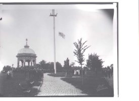 Negative, Glass-Plate                   